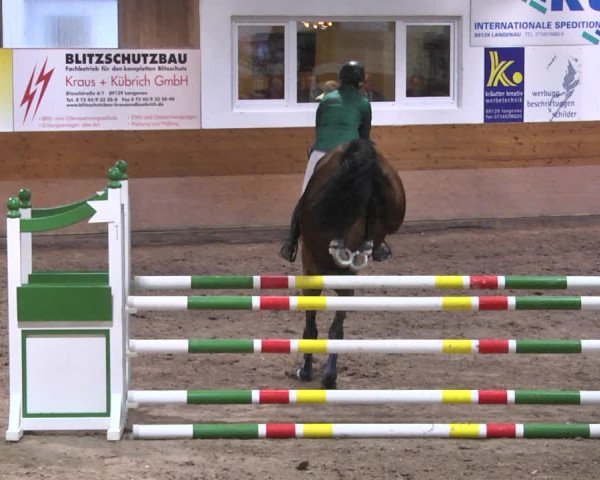 Reitturnier Langenau 2018