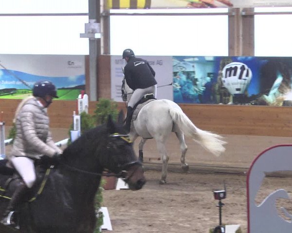 Reitturnier Langenau 2018