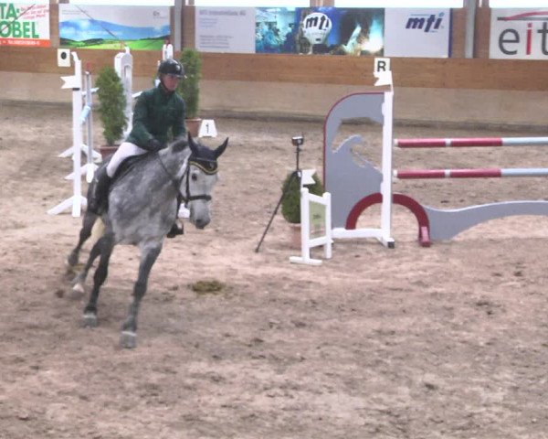 Reitturnier Langenau 2018