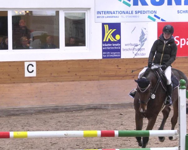 Reitturnier Langenau 2018