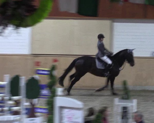 Reitturnier Hövelhof 2018