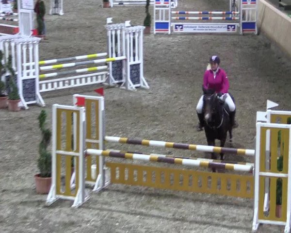 Reitturnier Hövelhof 2018