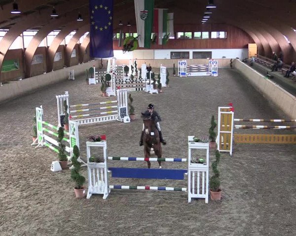 Reitturnier Hövelhof 2018