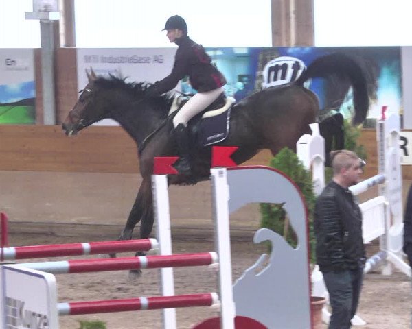 Reitturnier Langenau 2018