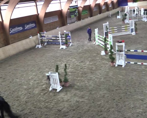 Reitturnier Hövelhof 2018