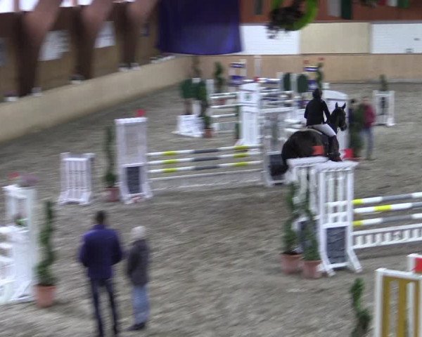 Reitturnier Hövelhof 2018