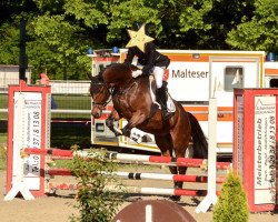 dressage horse Krokus 8 (Polish Warmblood, 2004)