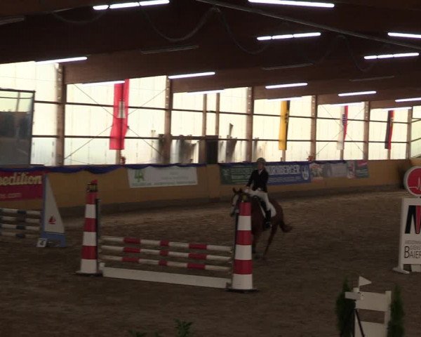 Reitturnier Pausin 2018