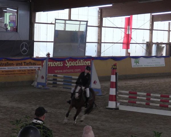 Reitturnier Pausin 2018