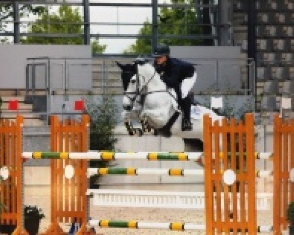 jumper First Lady 259 (Mecklenburg, 2006, from Cero)