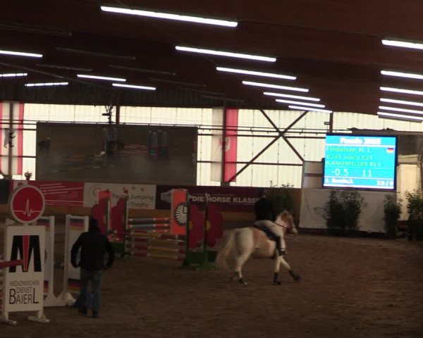 Reitturnier Pausin 2018