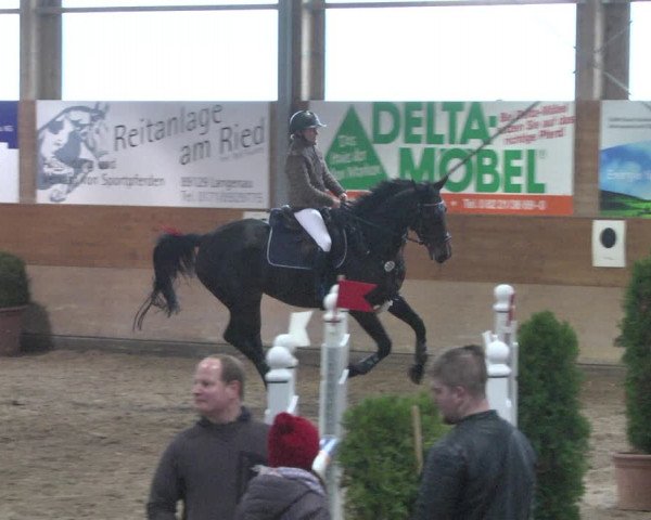 Reitturnier Langenau 2018