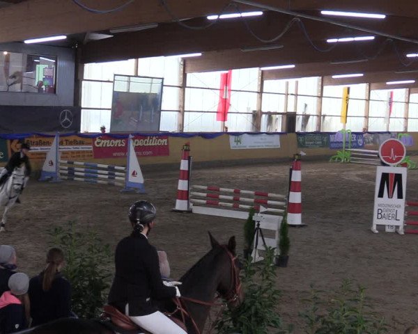 Reitturnier Pausin 2018