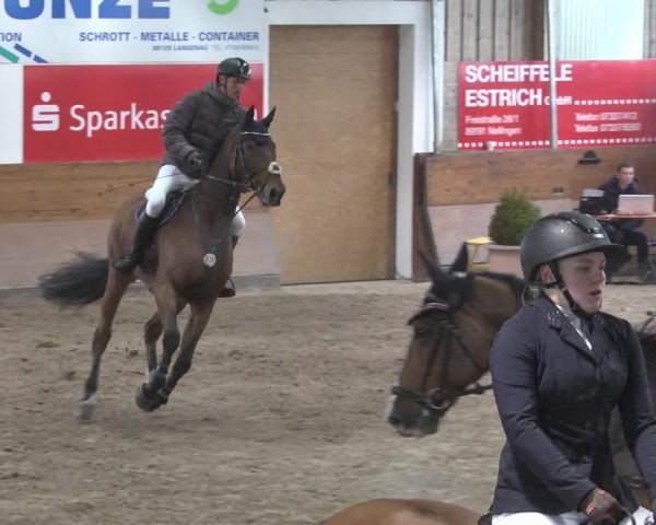 Reitturnier Langenau 2018