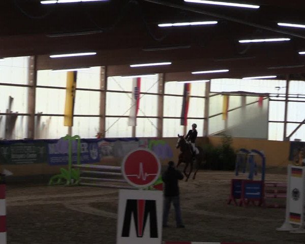 Reitturnier Pausin 2018