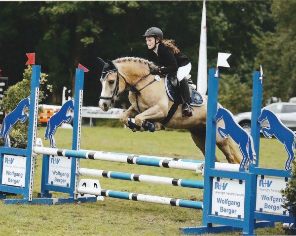 jumper Magic's Lady V.d. Janshoeve (Haflinger, 2009, from Master)