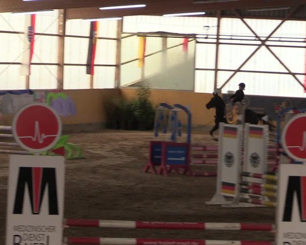 Reitturnier Pausin 2018
