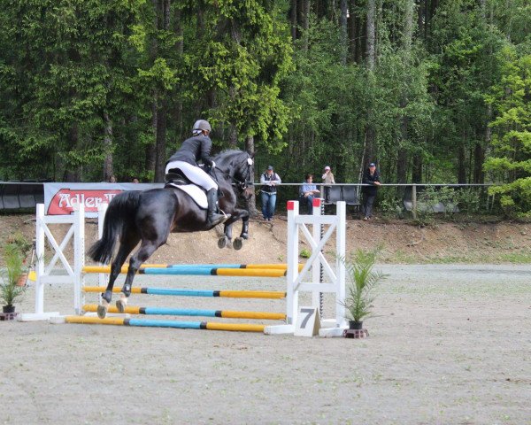 broodmare Grenadille 3 (Hanoverian, 2001, from Graf Grannus)