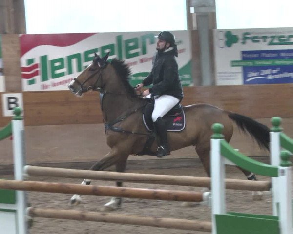 Reitturnier Langenau 2018