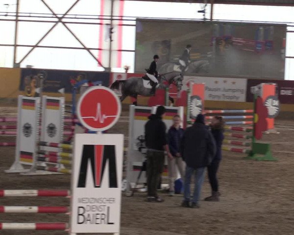 Reitturnier Pausin 2018