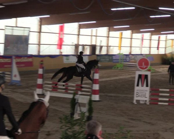Reitturnier Pausin 2018