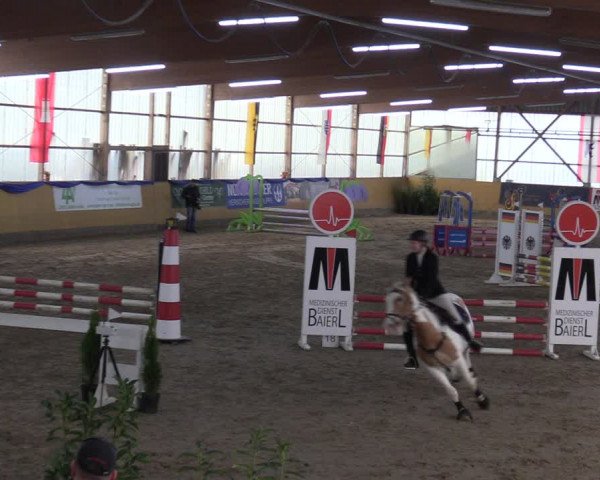 Reitturnier Pausin 2018