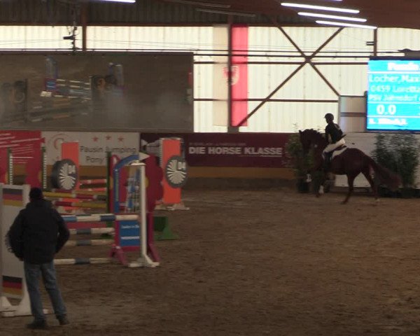 Reitturnier Pausin 2018