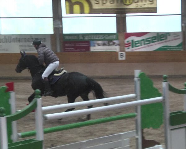 Reitturnier Langenau 2018