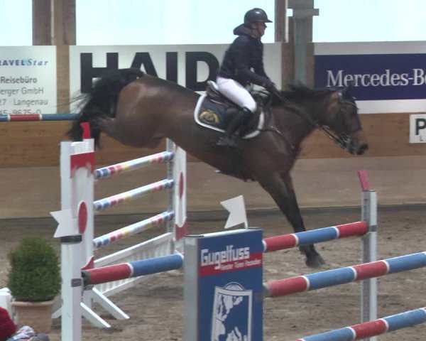 Reitturnier Langenau 2018