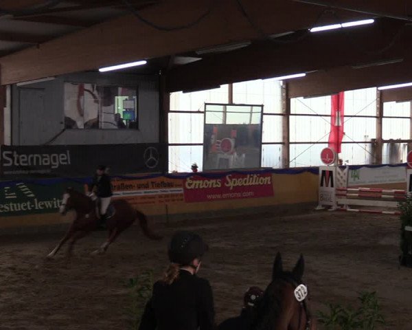 Reitturnier Pausin 2018