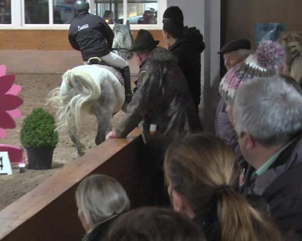 Reitturnier Langenau 2018