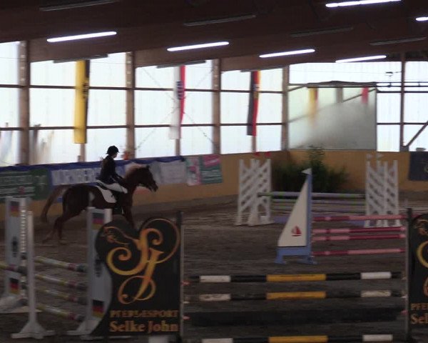 Reitturnier Pausin 2018