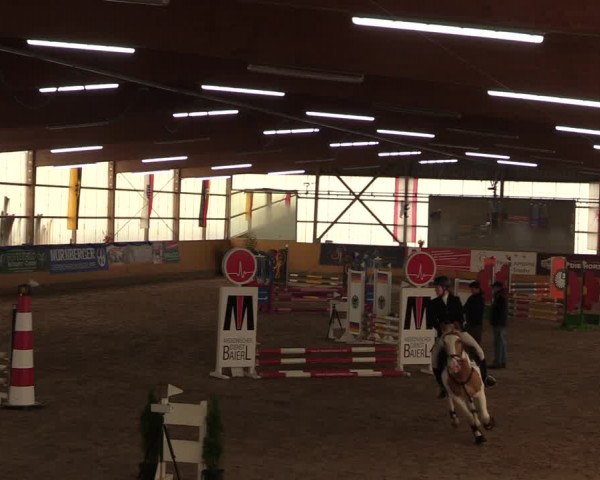 Reitturnier Pausin 2018