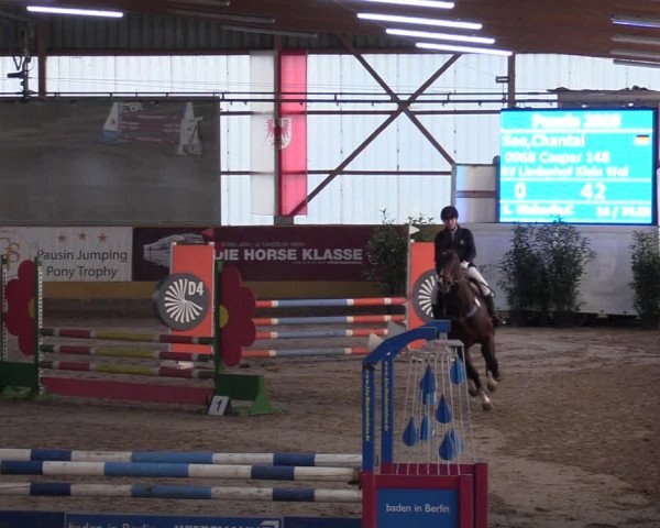 Reitturnier Pausin 2018