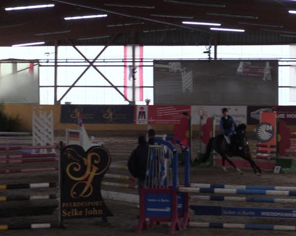 Reitturnier Pausin 2018
