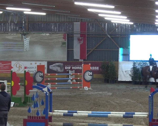 Reitturnier Pausin 2018