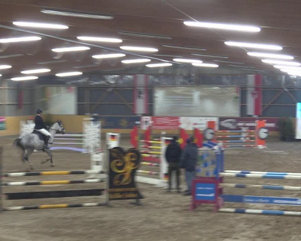 Reitturnier Pausin 2018