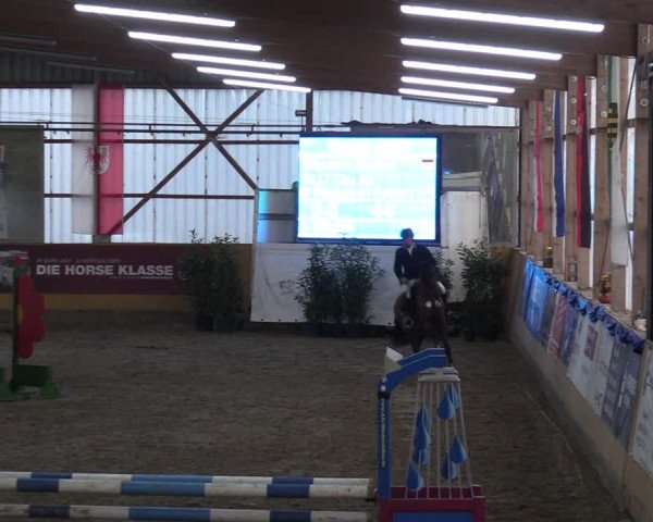 Reitturnier Pausin 2018
