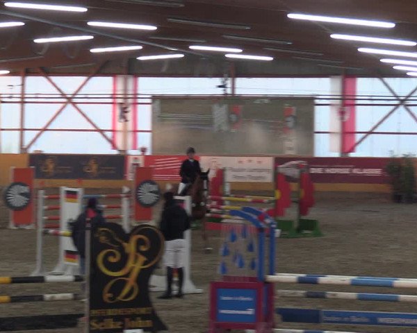 Reitturnier Pausin 2018