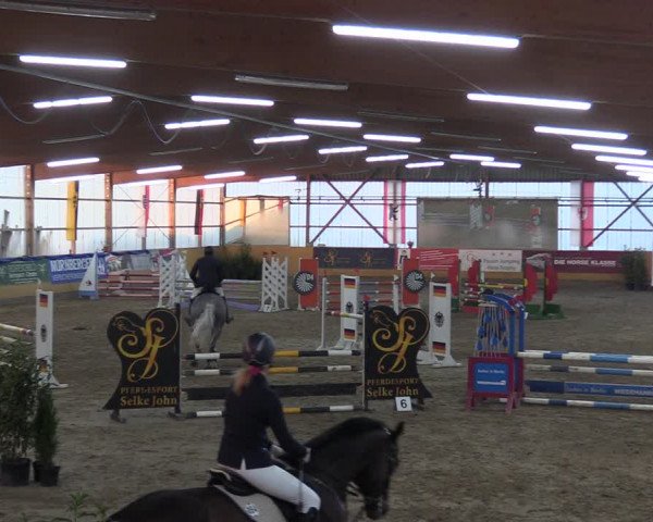 Reitturnier Pausin 2018