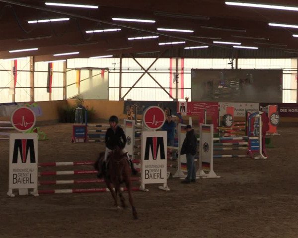 Reitturnier Pausin 2018