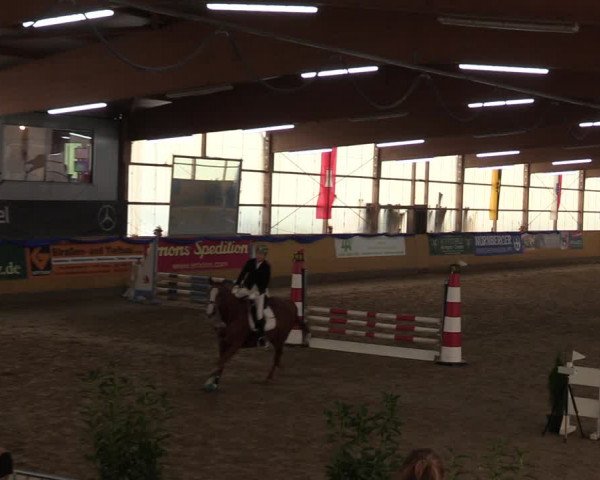 Reitturnier Pausin 2018
