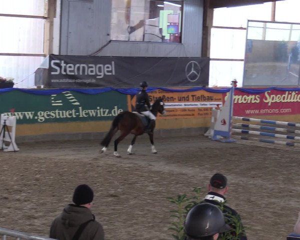 Reitturnier Pausin 2018
