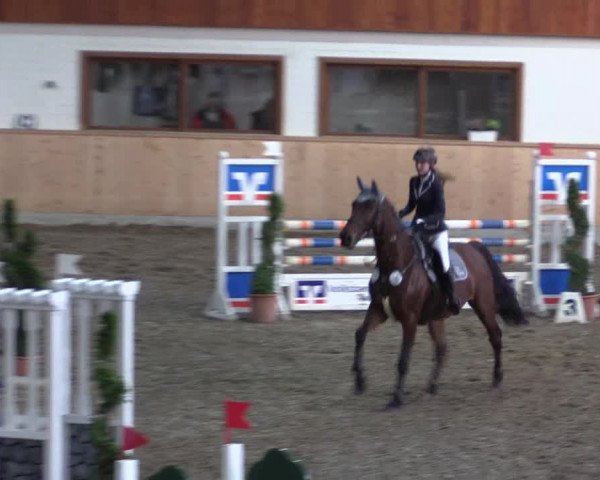 Reitturnier Hövelhof 2018
