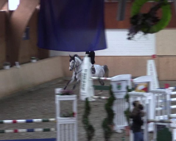 Reitturnier Hövelhof 2018