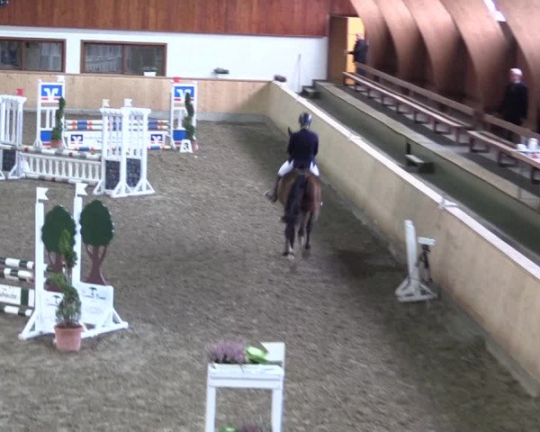 Reitturnier Hövelhof 2018