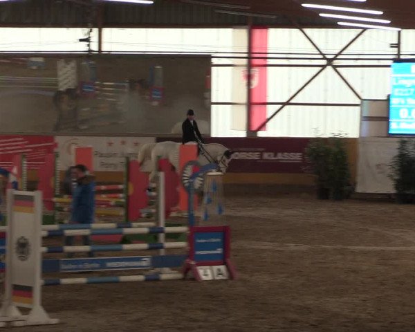 Reitturnier Pausin 2018