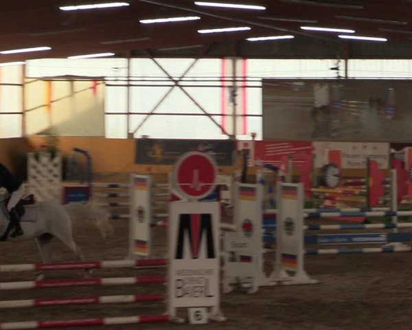 Reitturnier Pausin 2018