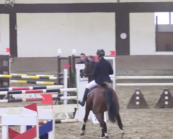 Reitturnier Vlotho-Valdorf 2018