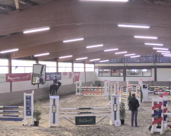 Reitturnier Vlotho-Valdorf 2018
